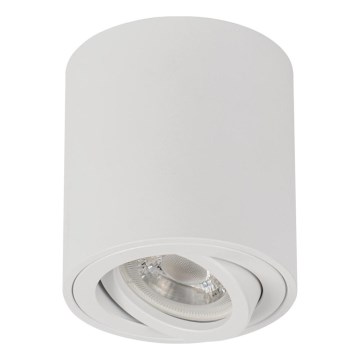 Точковий світильник BORD ONE 1xGU10/10W/230V білий