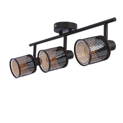 Точковий світильник CANABERA 3xE14/40W/230V