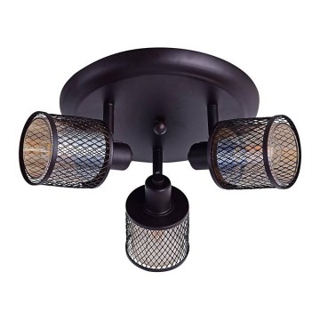 Точковий світильник CANABERA 3xE14/40W/230V