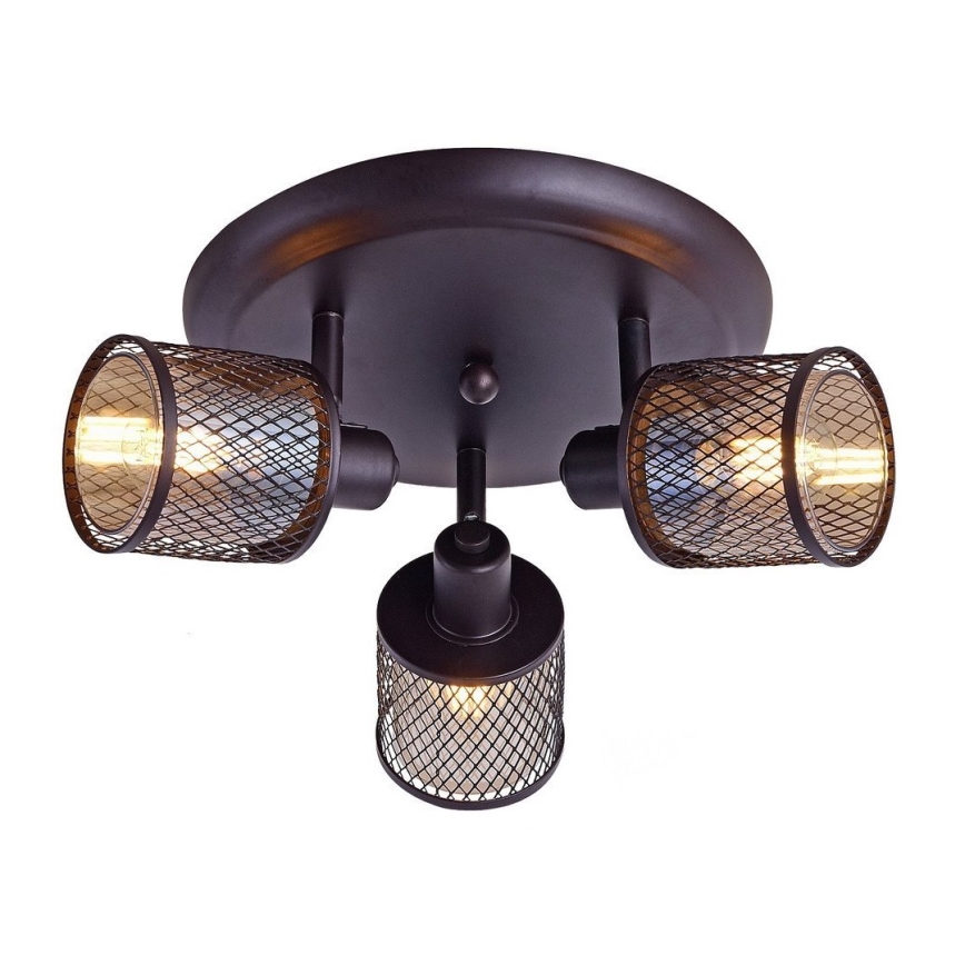 Точковий світильник CANABERA 3xE14/40W/230V