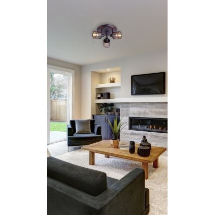 Точковий світильник CANABERA 3xE14/40W/230V