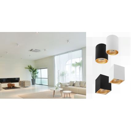 Точковий світильник CHLOE 1xGU10/50W/230V квадратний білий