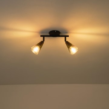 Точковий світильник CLASSY 2xE14/7W/230V