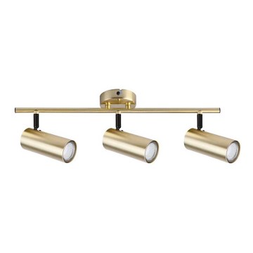Точковий світильник COLLY 3xGU10/15W/230V золотий