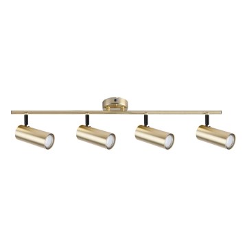 Точковий світильник COLLY 4xGU10/15W/230V золотий