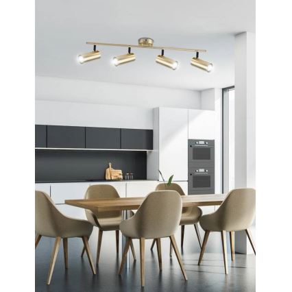 Точковий світильник COLLY 4xGU10/15W/230V золотий