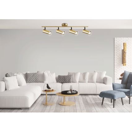 Точковий світильник COLLY 4xGU10/15W/230V золотий