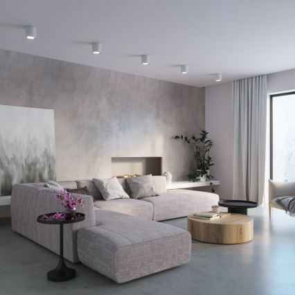 Точковий світильник CULLO 1xGU10/40W/230V