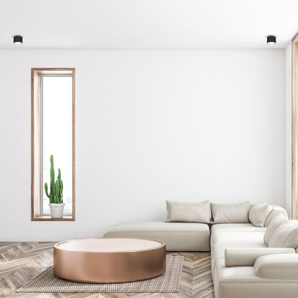 Точковий світильник DIXIE 1xGX53/11W/230V чорний