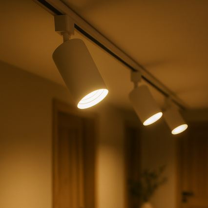 Точковий світильник для 1-фазної трекової системи TIGER 1xGU10/10W/230V білий