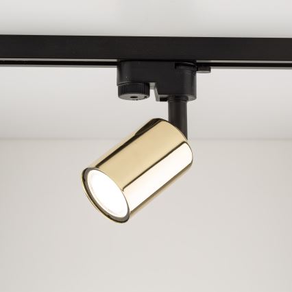 Точковий світильник для трекової системи TOP 1xGU10/10W/230V золотий/чорний
