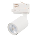 Точковий світильник до 3-фазної трекової системи TOP 1xGU10/10W/230V білий