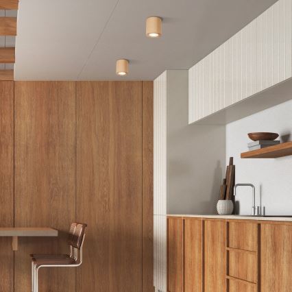 Точковий світильник EVE 1xGU10/10W/230V бук