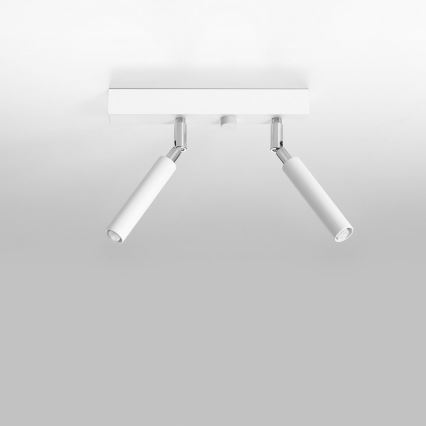 Точковий світильник EYETECH 2xG9/12W/230V білий