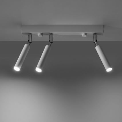 Точковий світильник EYETECH 3xG9/12W/230V білий