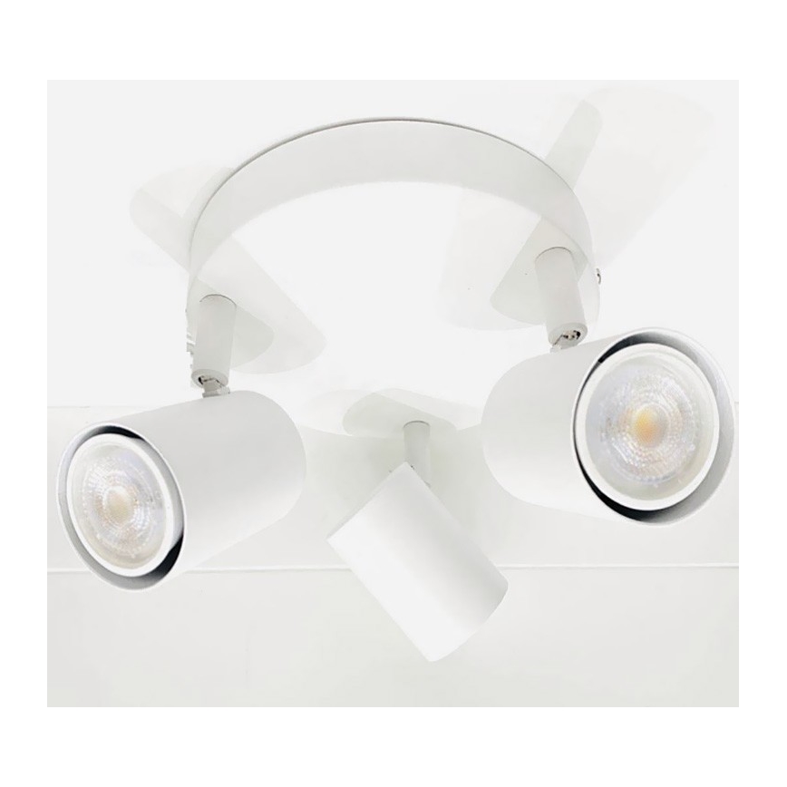 Точковий світильник FARGO 3xGU10/30W/230V біла