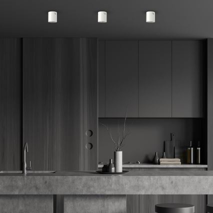 Точковий світильник GEORGE 1xE27/60W/230V діаметр 13,7 см білий