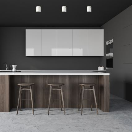 Точковий світильник GEORGE 1xE27/60W/230V діаметр 13,7 см білий