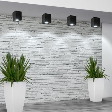 Точковий світильник HADAR Q1 1xGU10/10W/230V чорний