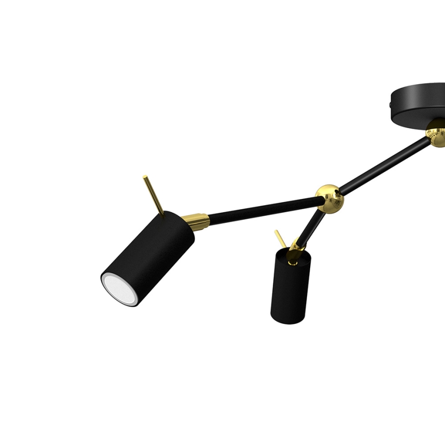 Точковий світильник IRIS 3xGU10/MR11/40W/230V чорний/золотий