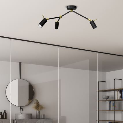 Точковий світильник IRIS 3xGU10/MR11/40W/230V чорний/золотий