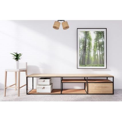 Точковий світильник IRMA 2xE14/40W/230V