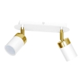 Точковий світильник JOKER 2xGU10/25W/230V білий/золотий