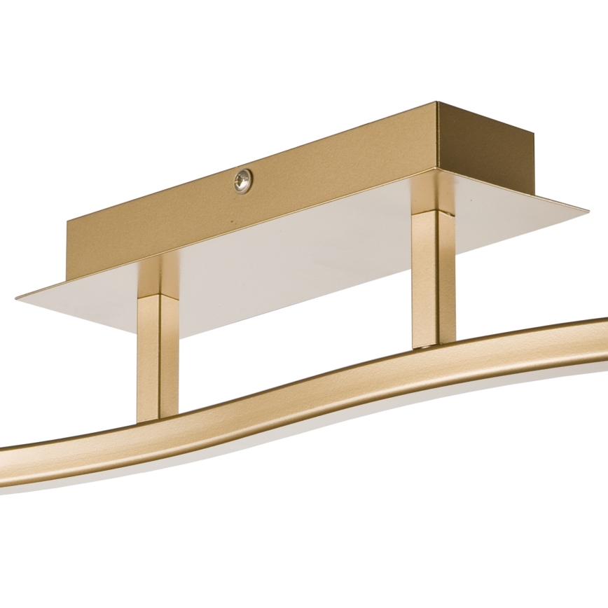 Точковий світильник KLARA 2xE14/40W/230V золотий
