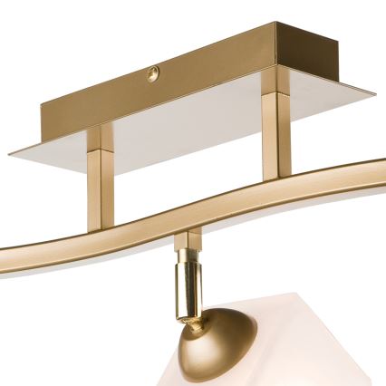 Точковий світильник KLARA 3xE14/40W/230V золотий