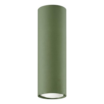 Точковий світильник LAGOS 1xGU10/10W/230V 20 cm зелений