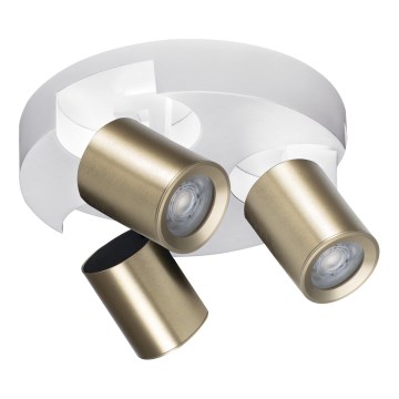 Точковий світильник LAURIN 3xGU10/10W/230V латунь/білий