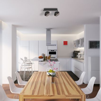 Точковий світильник LOGAN 2xE14/40W/230V