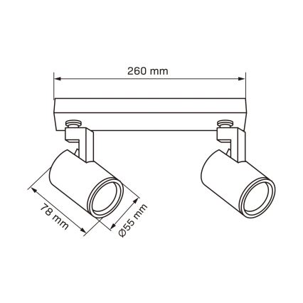 Точковий світильник LYNX 2xGU10/10W/230V чорний