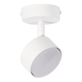 Точковий світильник NEMO 1xGX53/12W/230V білий