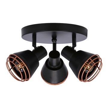 Точковий світильник NERIA 3xE14/40W/230V чорний/мідний
