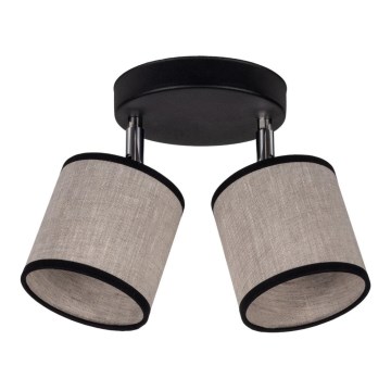 Точковий світильник NEXO 2xE14/40W/230V