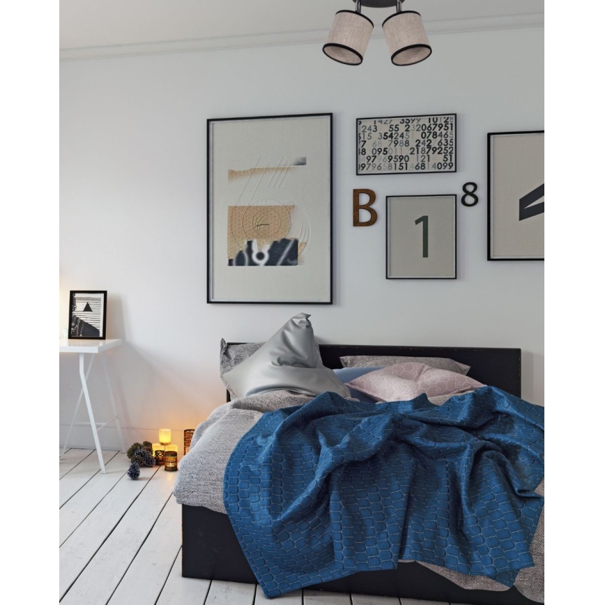 Точковий світильник NEXO 2xE14/40W/230V