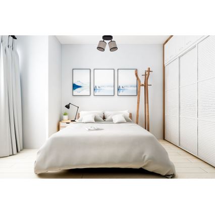 Точковий світильник NEXO 2xE14/40W/230V