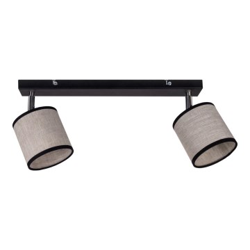 Точковий світильник NEXO 2xE14/40W/230V