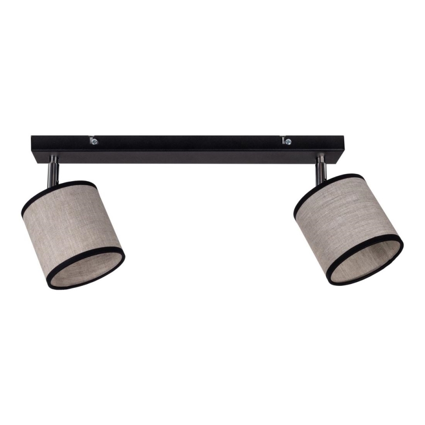 Точковий світильник NEXO 2xE14/40W/230V