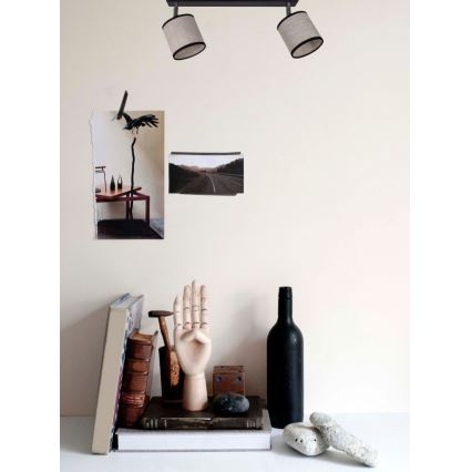 Точковий світильник NEXO 2xE14/40W/230V