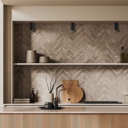 Точковий світильник NICEA 1xGU10/10W/230V чорний