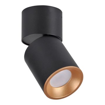 Точковий світильник NIXA 1xGU10/10W/230V чорний/золотий