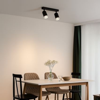 Точковий світильник PIPE 2xGU10/10W/230V чорний