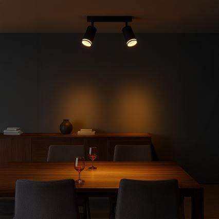 Точковий світильник PIPE 2xGU10/10W/230V чорний