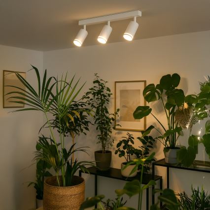 Точковий світильник PIPE 3xGU10/10W/230V білий