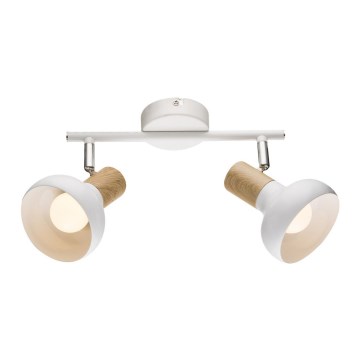 Точковий світильник PUERTO 2xE14/40W/230V