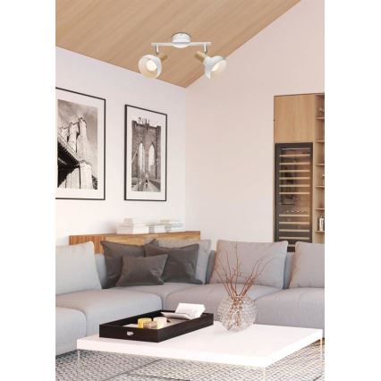 Точковий світильник PUERTO 2xE14/40W/230V