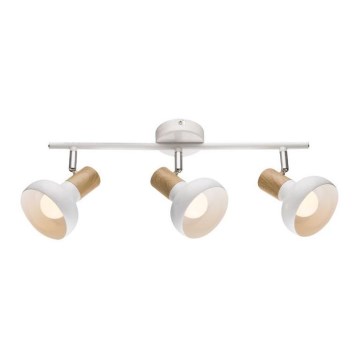 Точковий світильник PUERTO 3xE14/40W/230V