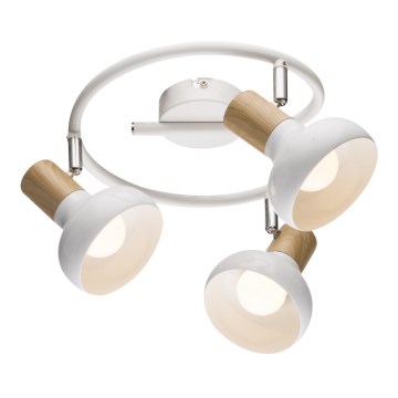 Точковий світильник PUERTO 3xE14/40W/230V